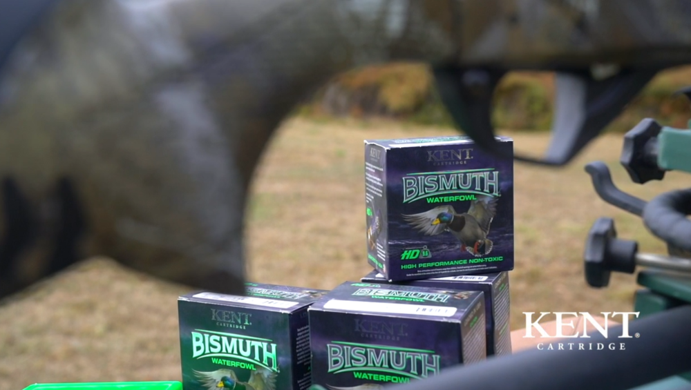 Test de modèle de sauvagine au bismuth