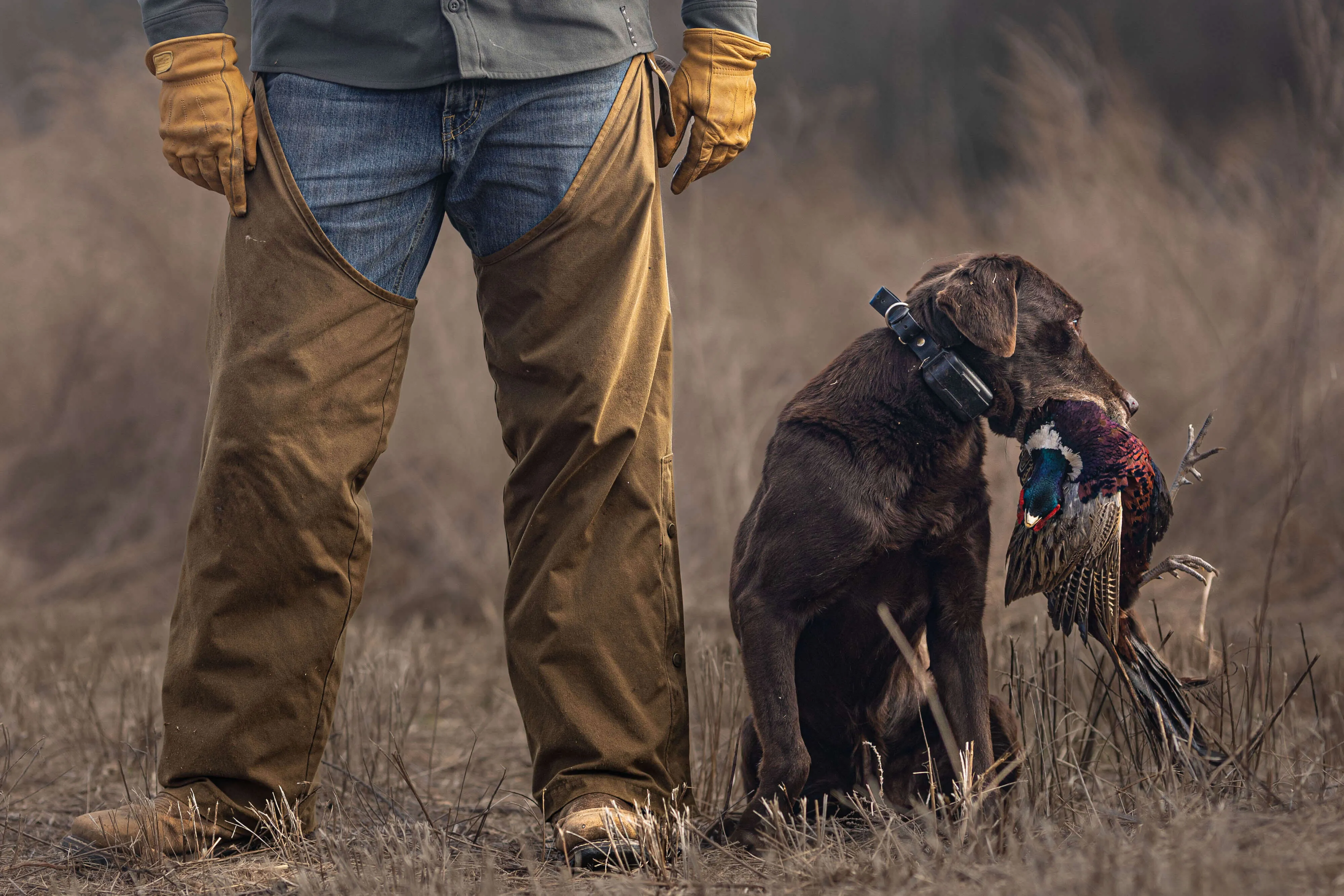 A man & dog with hunted bird