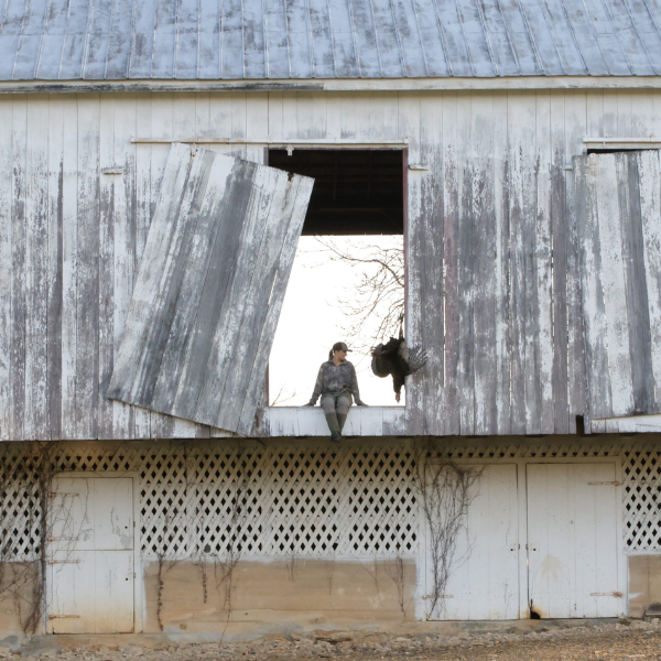 Kent Cartridge turkey hunting image